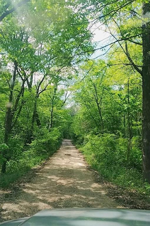 520 County Road 36980