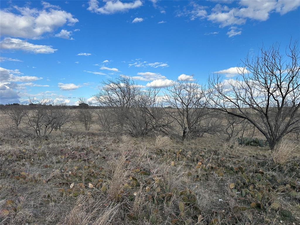 Mercers Preserve - Land