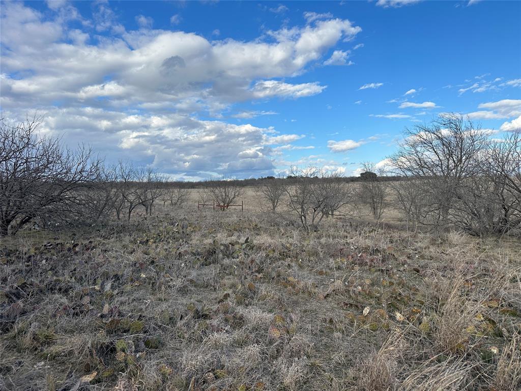 Mercers Preserve - Land