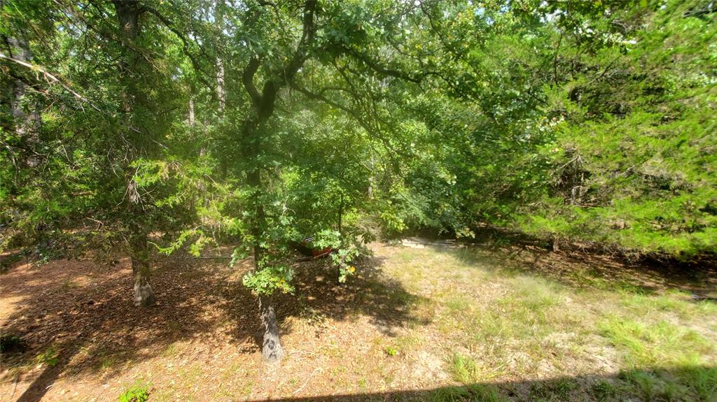 Holly Lake Ranch - Residential