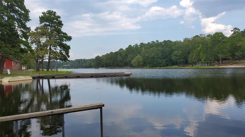 Holly Lake Ranch - Residential