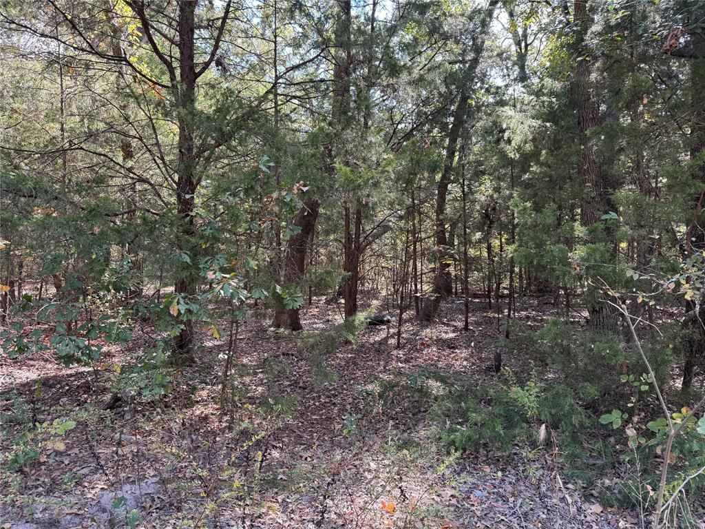 Cherokee Shores - Land