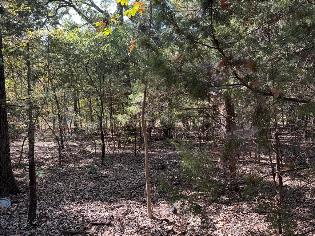 Cherokee Shores - Land