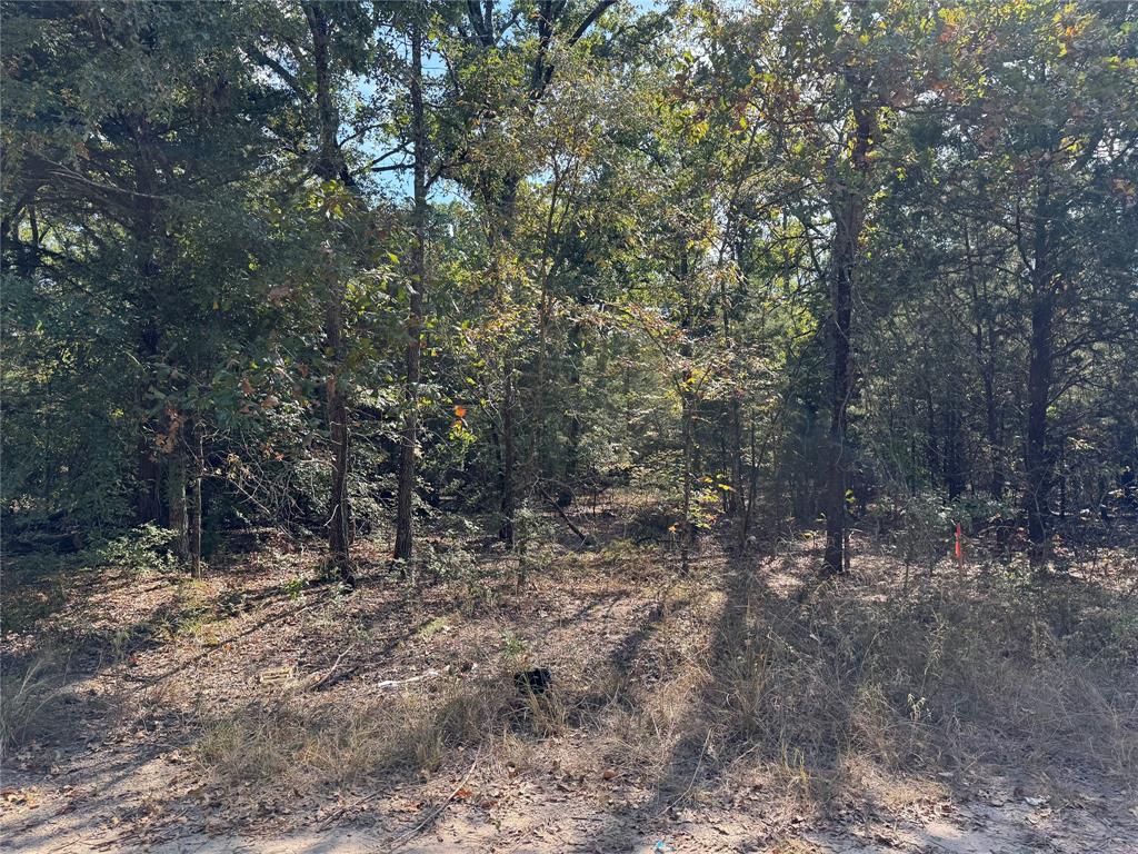 145 Kiowa Drive