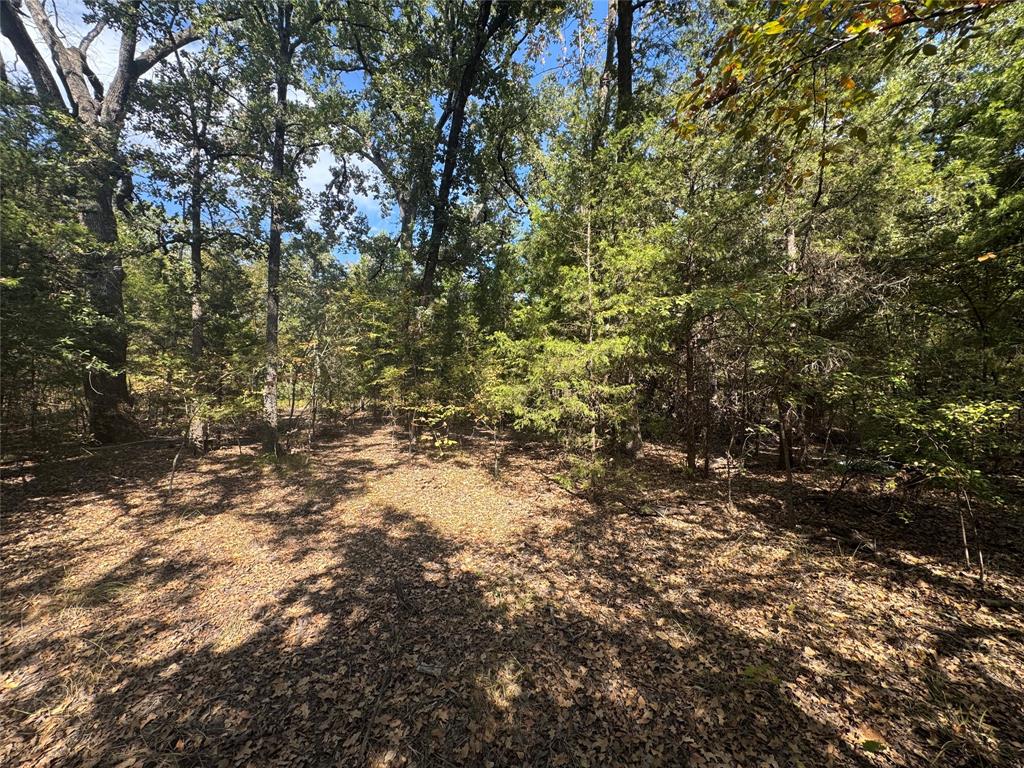 Cherokee Shores - Land