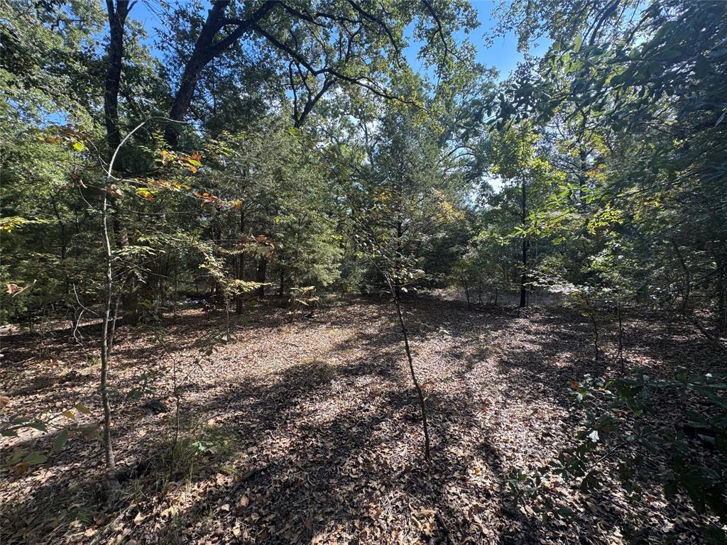 Cherokee Shores - Land