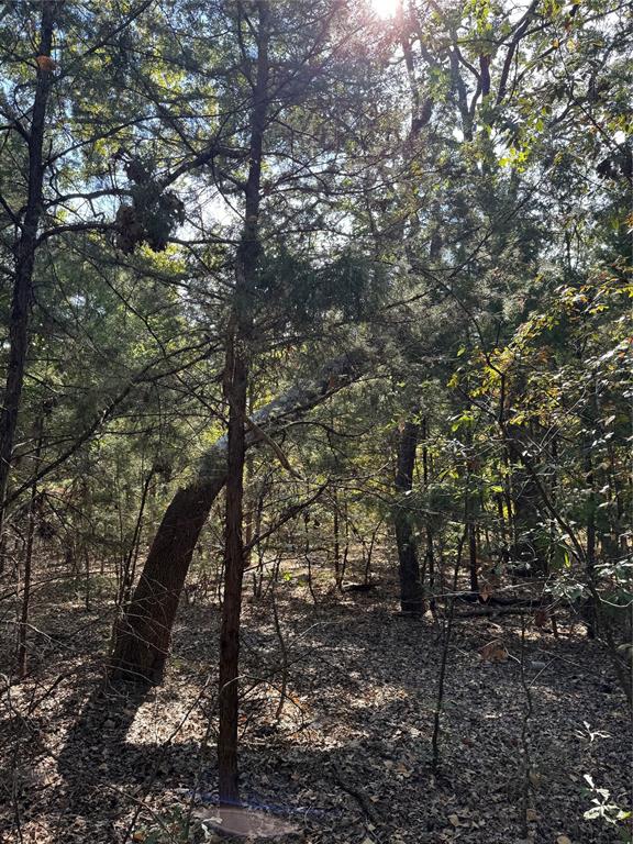 Cherokee Shores - Land