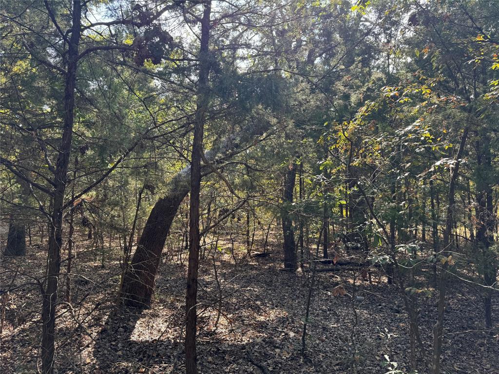 Cherokee Shores - Land