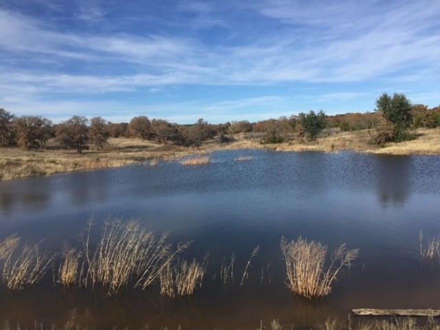 The property has always had 182.986 acres under fence but the seller only owns 160. The remaining 22.986 acres is owned by the state. It can used as you see fit for free or can be purchased from the state. The property has been used historically for recreation of hunting and fishing. 4 tanks are present as well as oaks, mesquite, and cedar. It has a combination of heavy trees and open pasture. The fenced and cross-fenced terrain is generally flat with some rolling hills, making it an ideal location for livestock. The cabin has 1000 sq ft, 2 bedrooms, and 1 bathroom and has a water well and electricity provided by Taylor Electric. The wood-burning stove, propane heater, and window units provide warmth and cooling when needed, while the concrete floors, ceiling fans, electric stove, refrigerator, and stand-up freezer provide convenience and comfort. The cabin has a metal roof, carport, and wrap-around covered porch.  Minerals are negotiable. Currently there is no production.