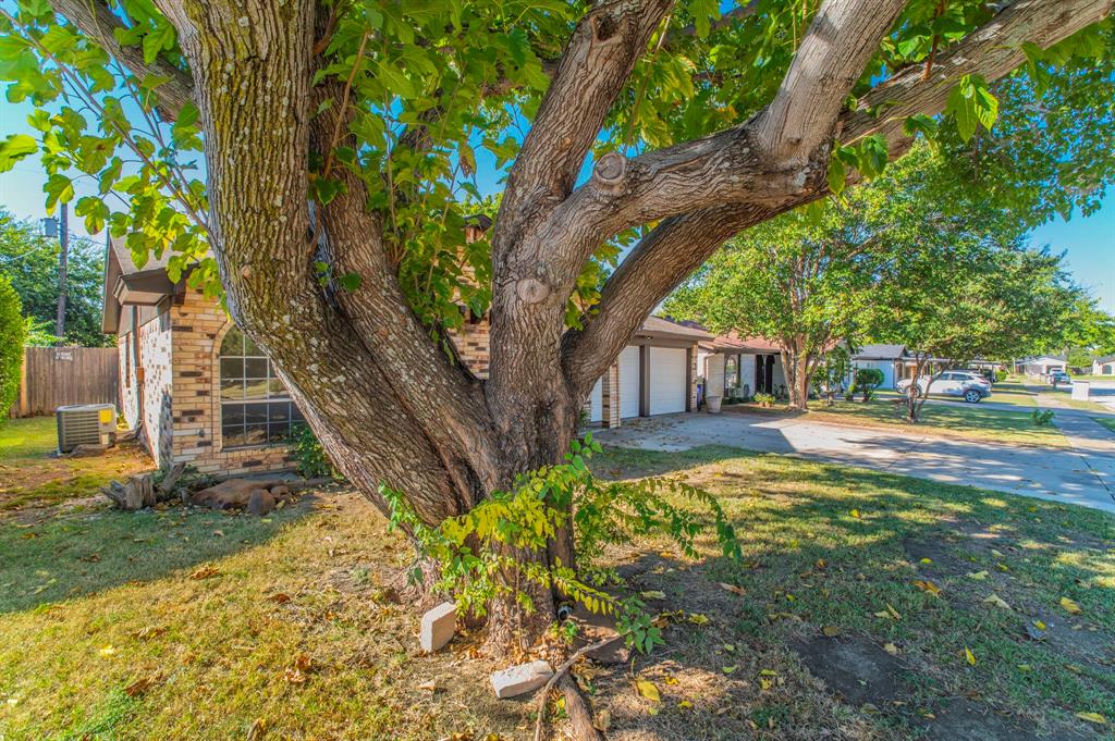 6620 Betty Drive