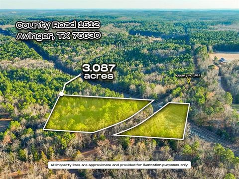 TBD County Road 1512 Avinger TX 75630