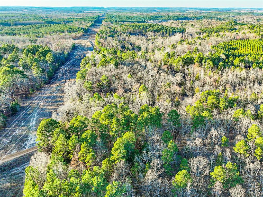 TBD County Road 1512