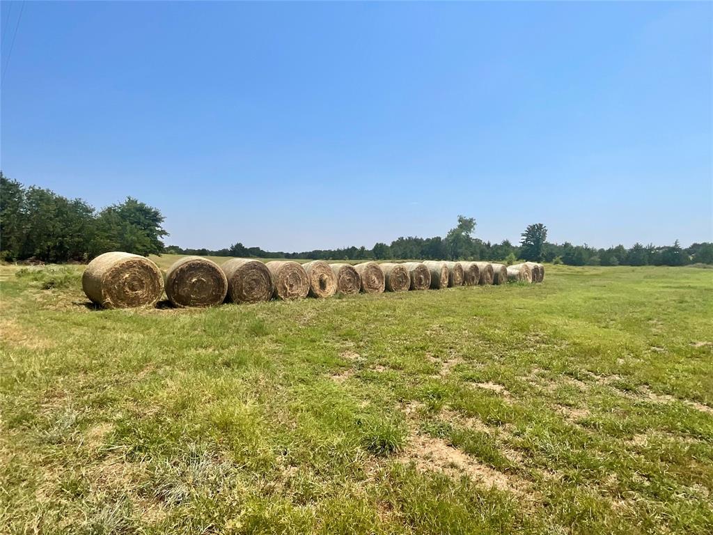485 County Road 1570