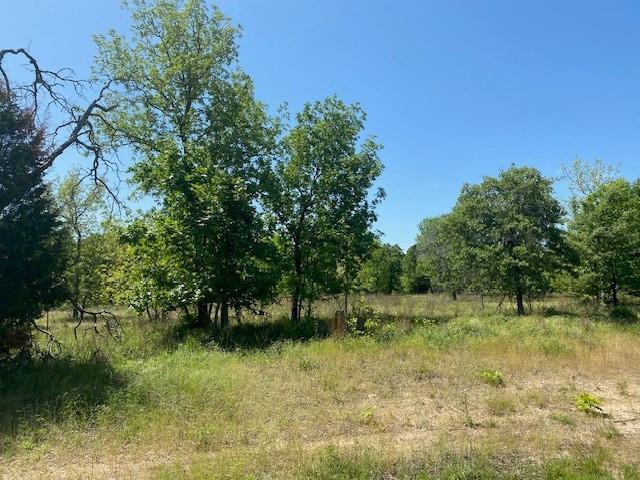 Whispering Oaks - Land