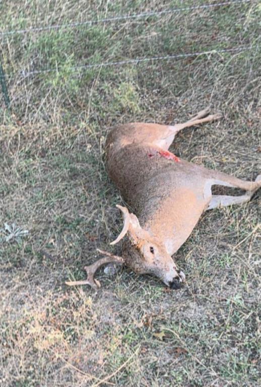 Parkinson, Acres 9.4 - Residential