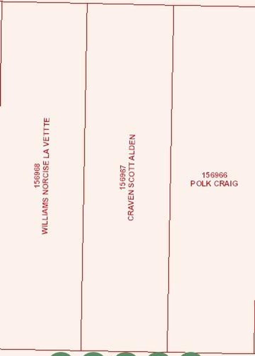 Nestled on a quiet residential street, this plot features mature trees, level terrain, and making development straightforward and cost-effective. The peaceful surroundings offer a serene, country-like atmosphere while still being just minutes from downtown Sherman, shopping centers, schools, and major highways.