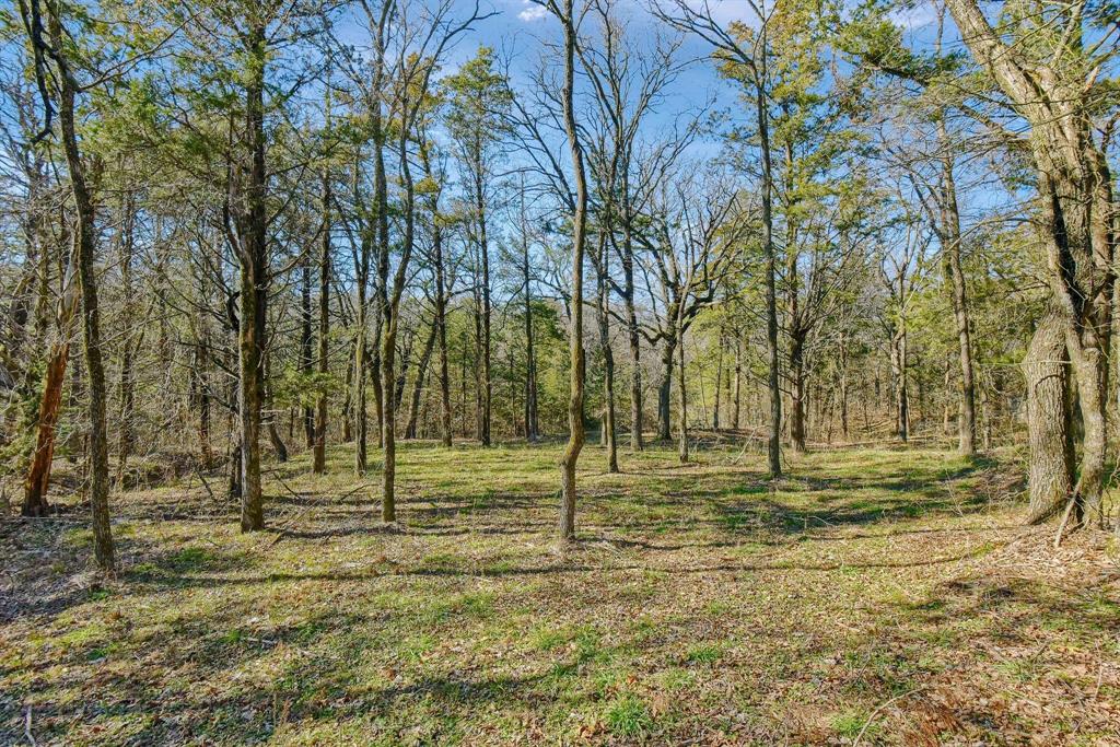 Twin Oaks - Land