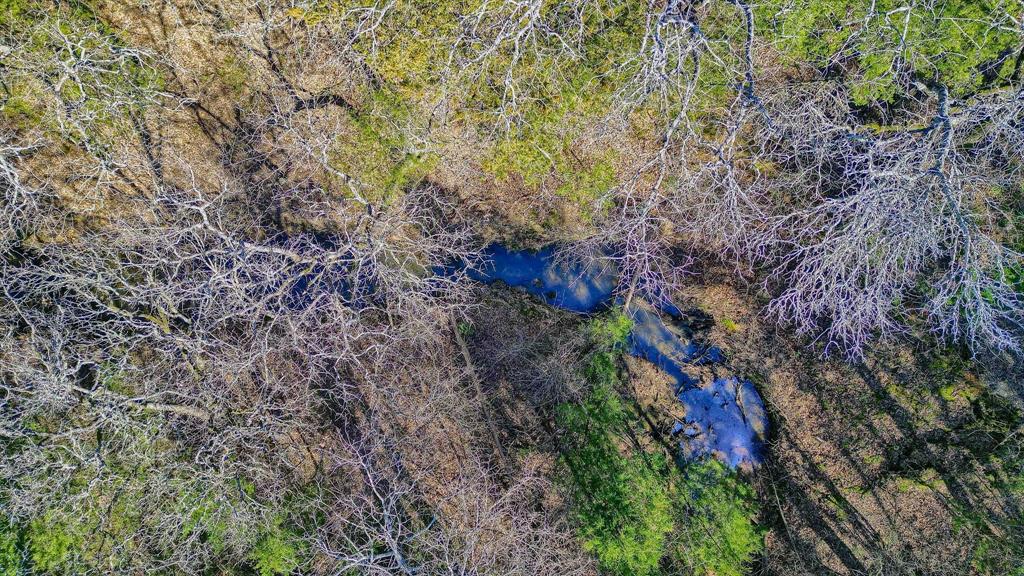 Twin Oaks - Land