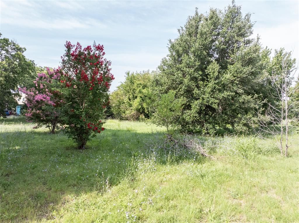 Samuel Mcfarland Surv Abs #558 - Land