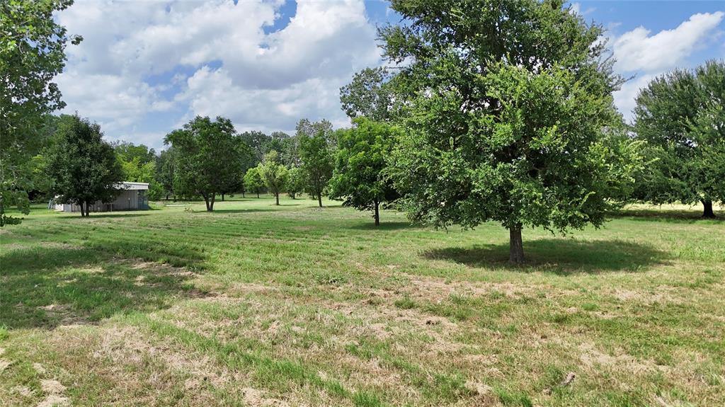 3529 Carla Court