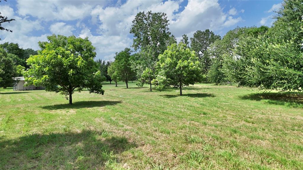 3529 Carla Court