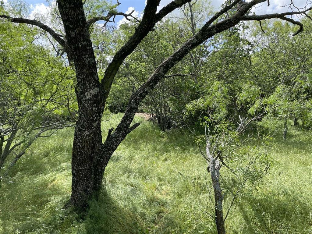 Fraylan De La Garza Surv Abs # - Land