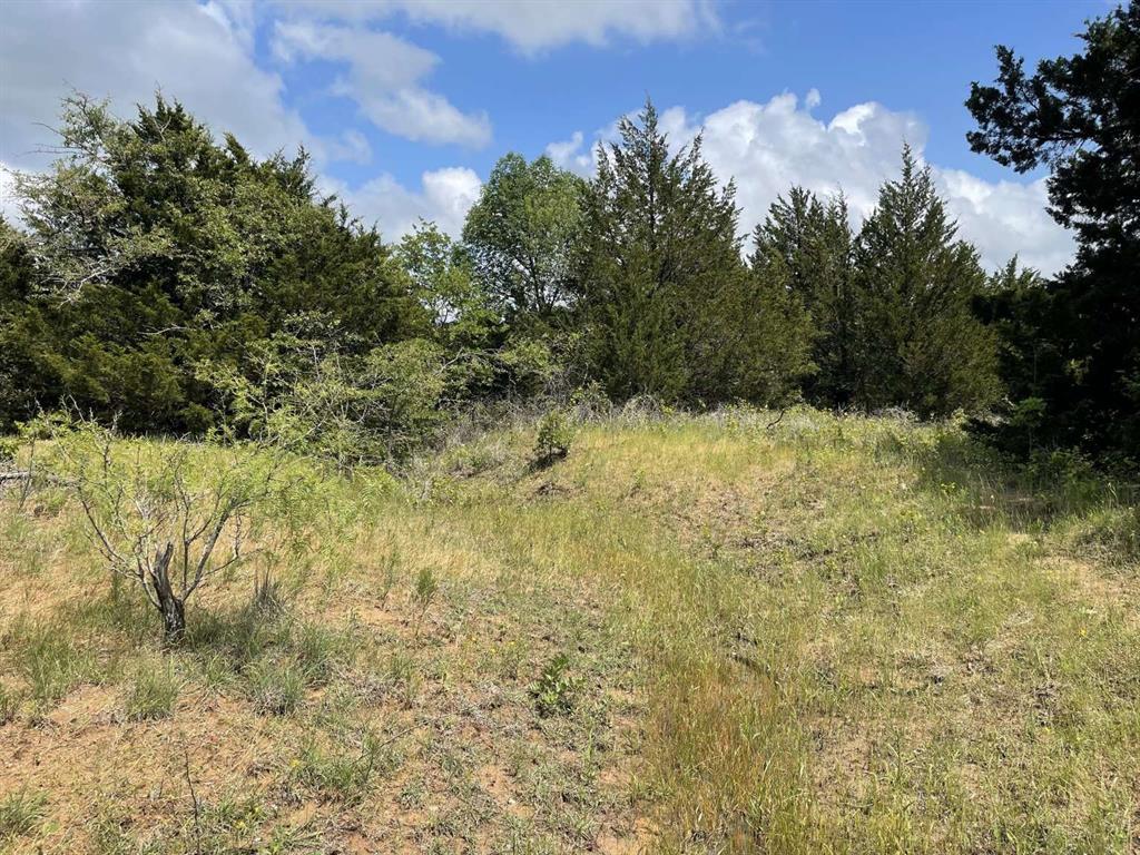 Fraylan De La Garza Surv Abs # - Land