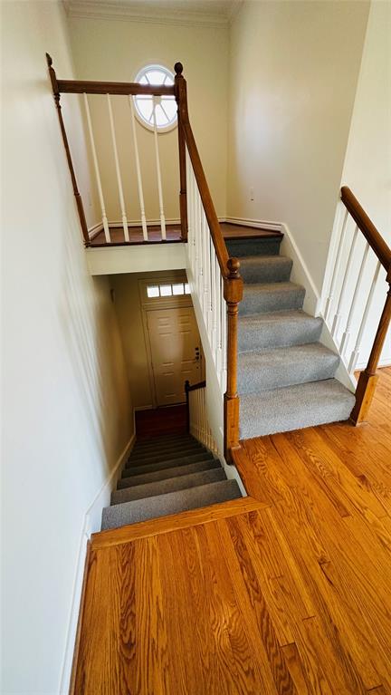 Holland Twnhms - Residential Lease