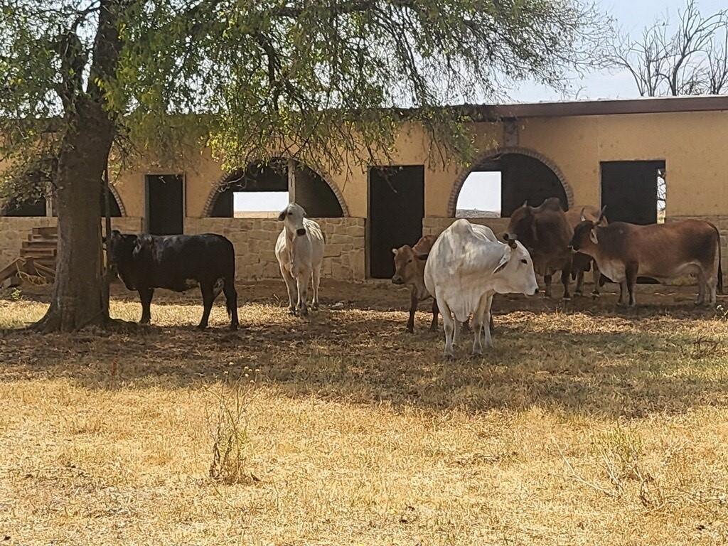 TF Edwards - Residential