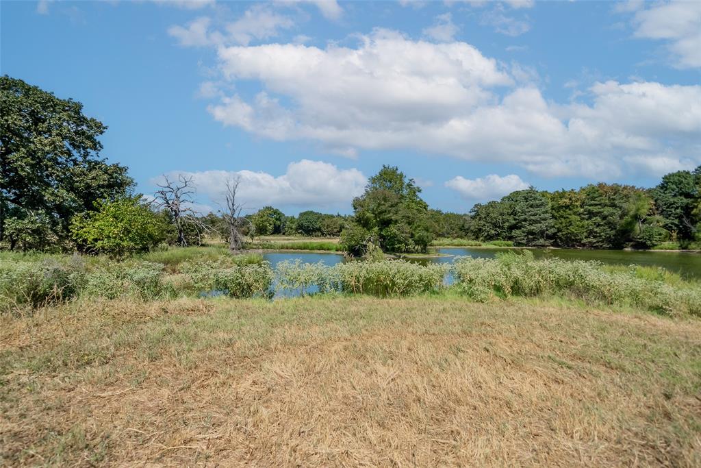 Juana Delgado Surv Abs #276 - Farm