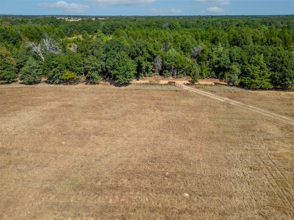 Juana Delgado Surv Abs #276 - Farm