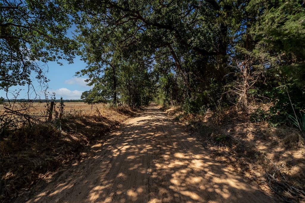 Juana Delgado Surv Abs #276 - Farm