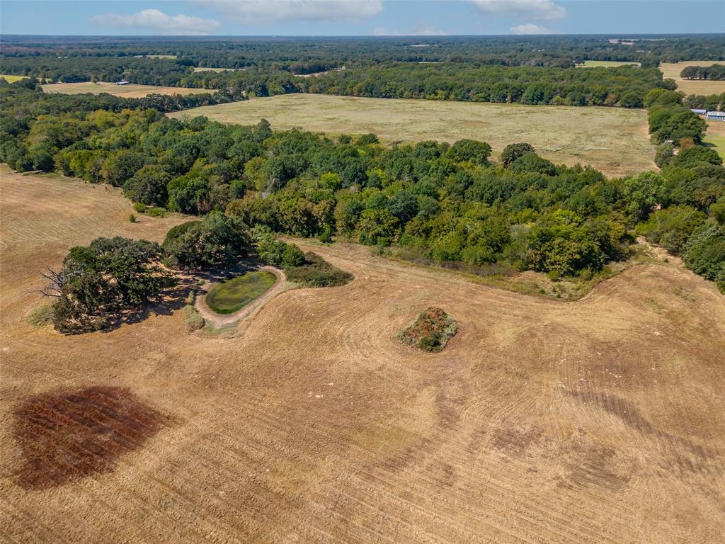 Juana Delgado Surv Abs #276 - Farm