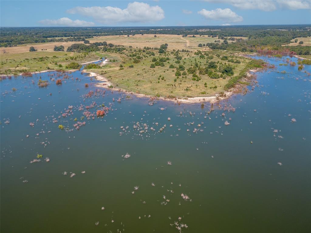 Juana Delgado Surv Abs #276 - Farm