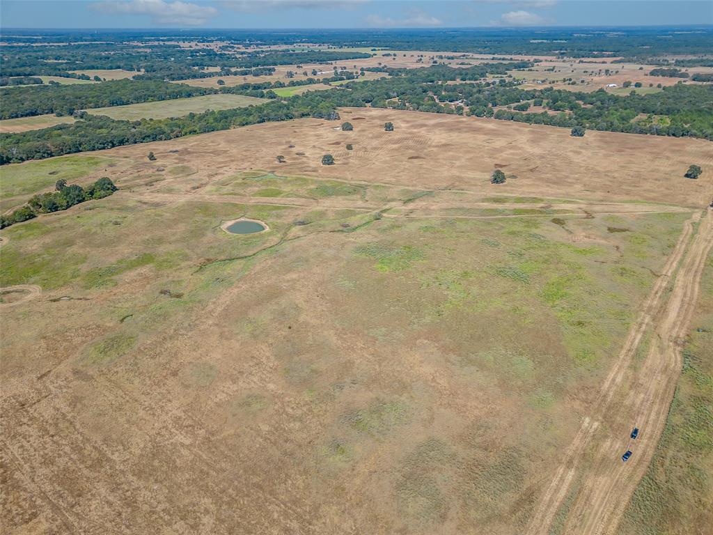 Juana Delgado Surv Abs #276 - Farm