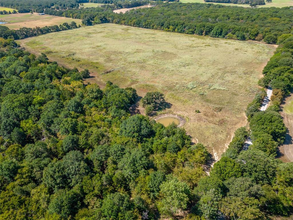 Juana Delgado Surv Abs #276 - Farm