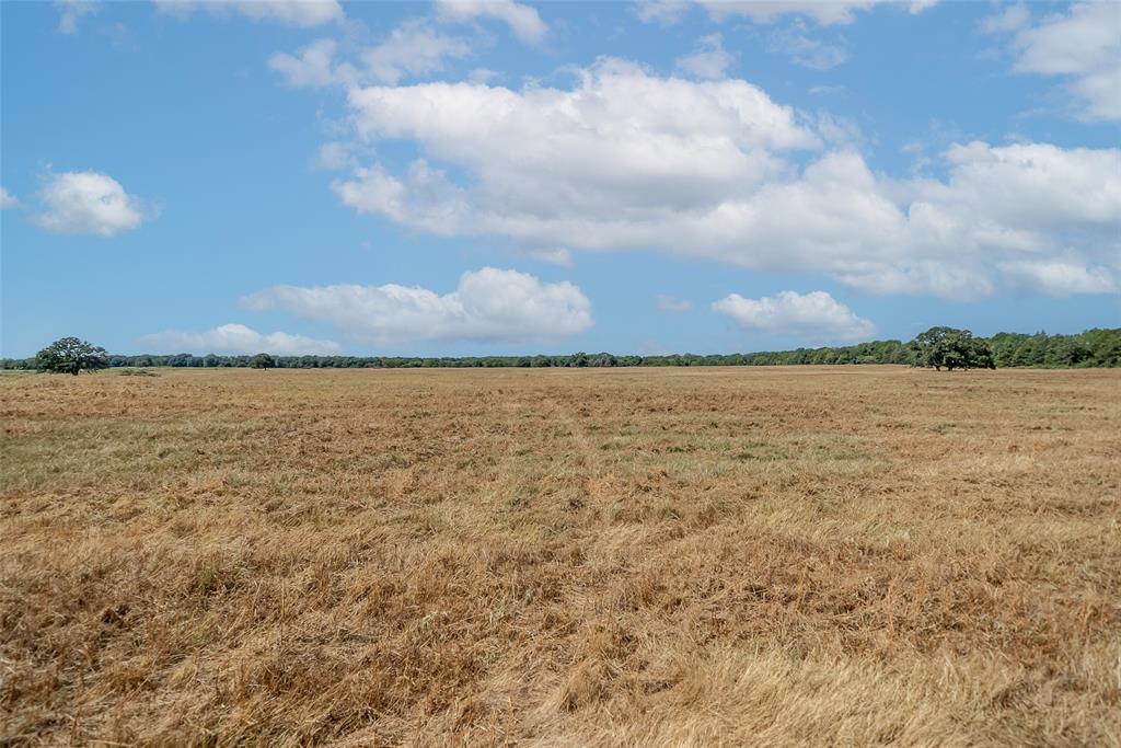 Juana Delgado Surv Abs #276 - Farm