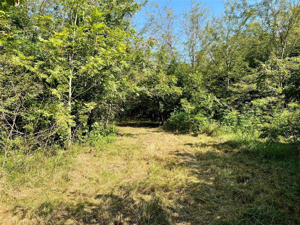 G-0632 JONES ELI - Land