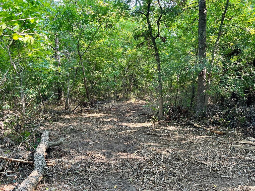 G-0632 JONES ELI - Land