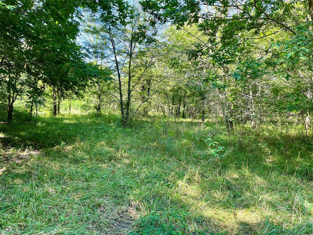 G-0632 JONES ELI - Land