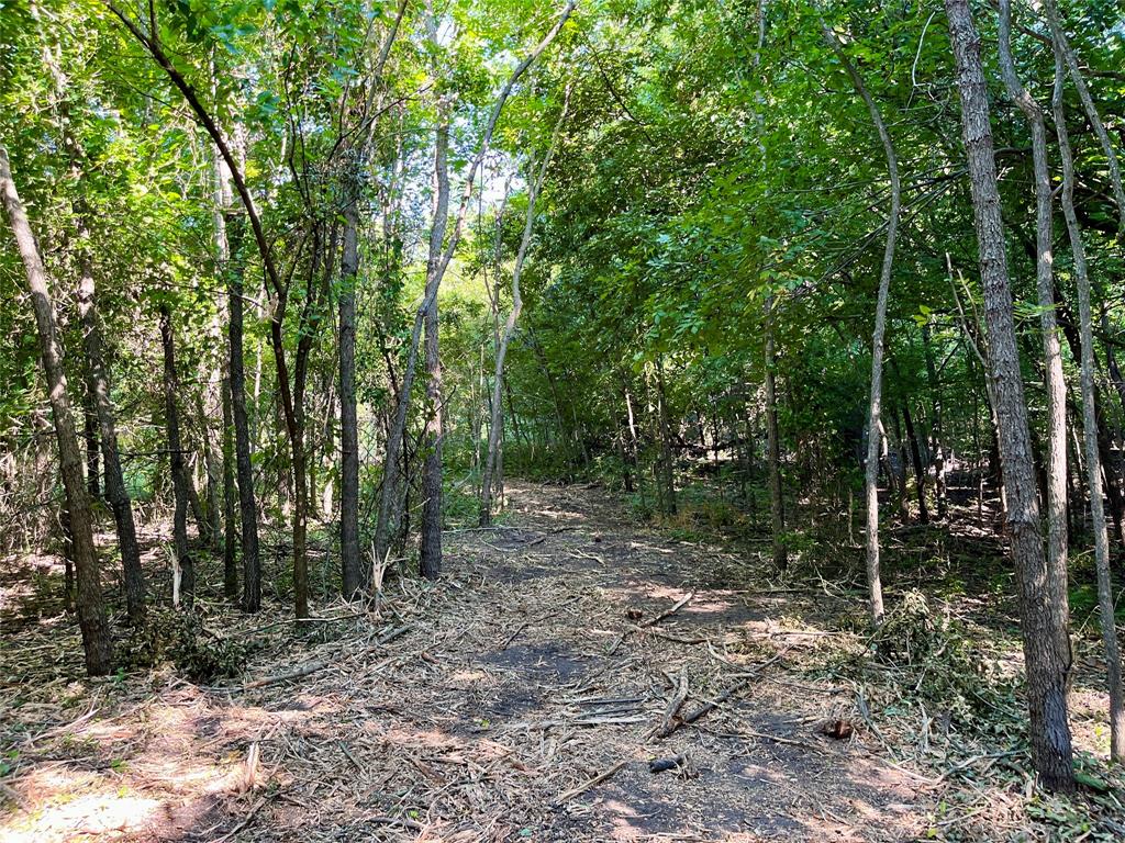 G-0632 JONES ELI - Land