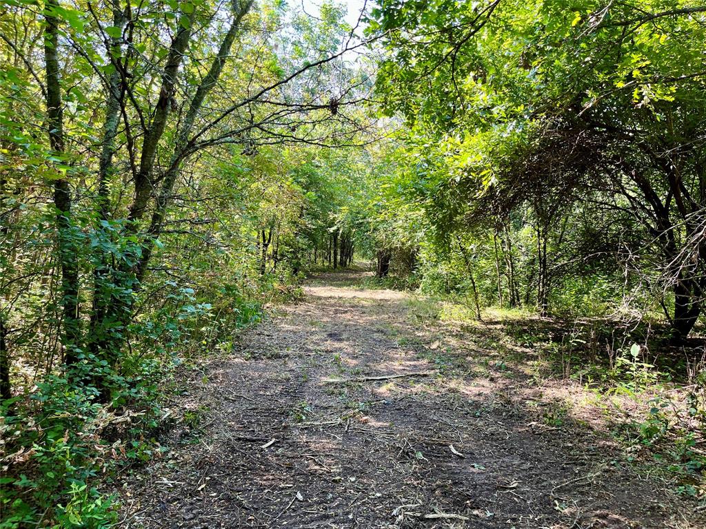 G-0632 JONES ELI - Land