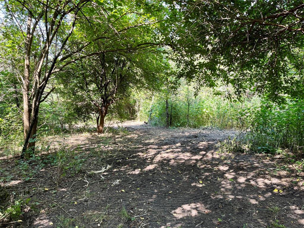 G-0632 JONES ELI - Land