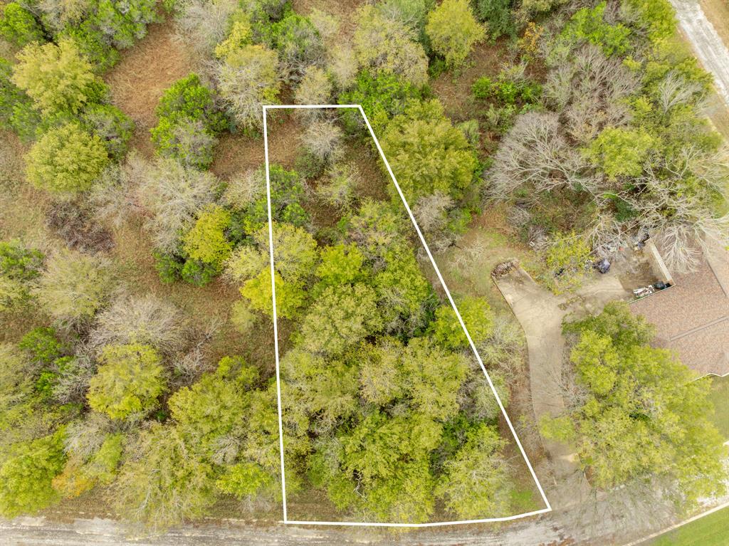White Bluff #42 - Land