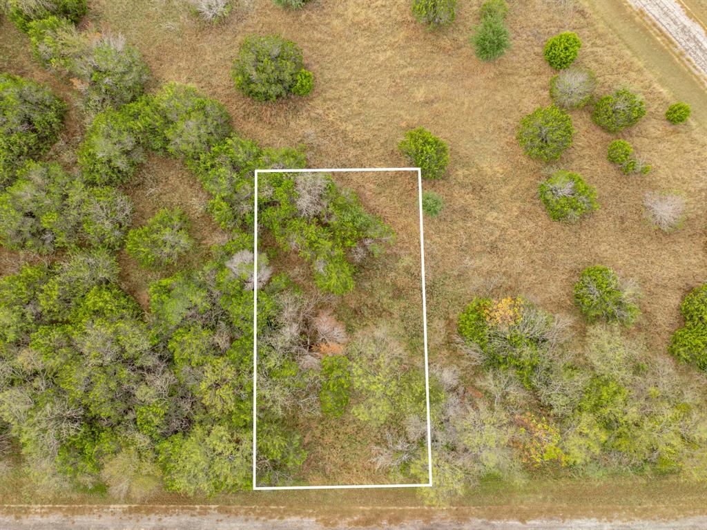 White Bluff #42 - Land