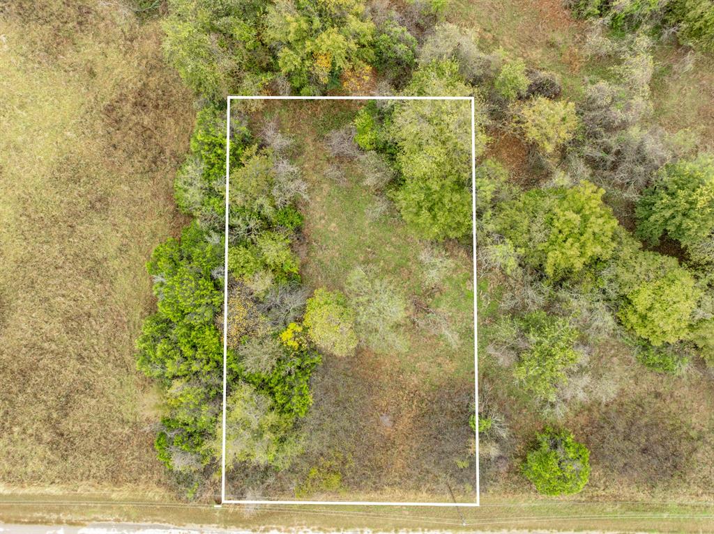 40 LOTS White Bluff