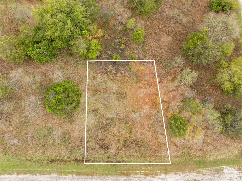 White Bluff #42 - Land