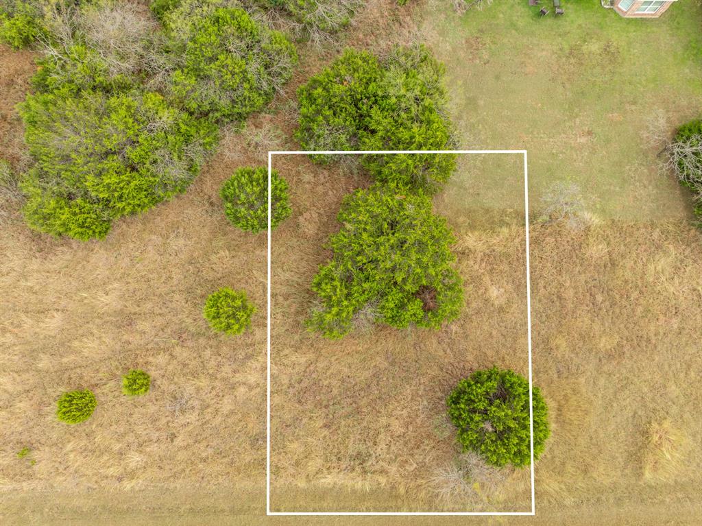 White Bluff #42 - Land