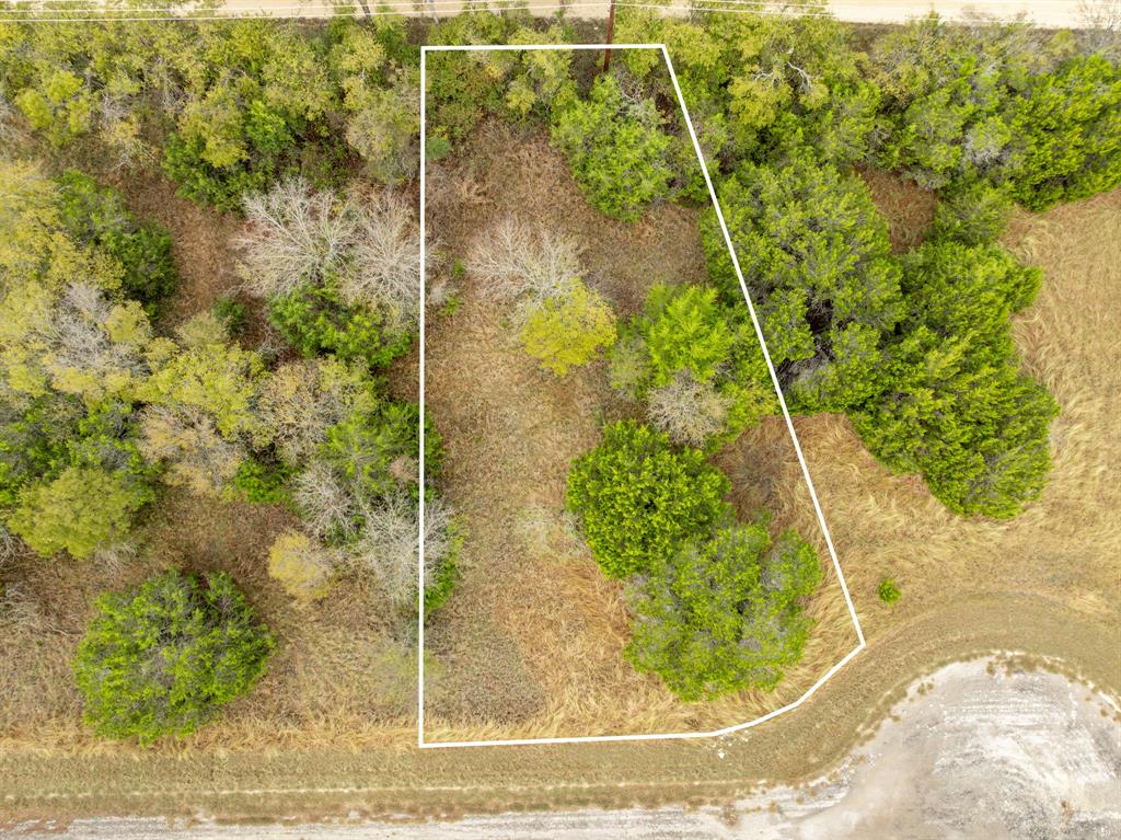 White Bluff #42 - Land