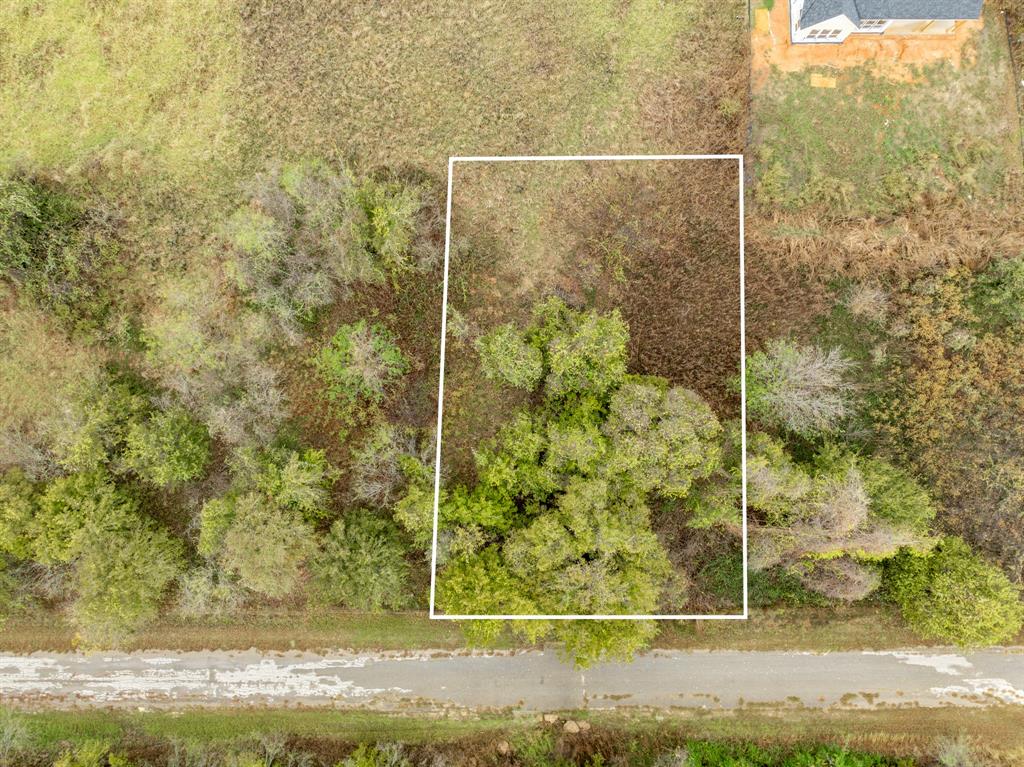 White Bluff #42 - Land